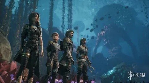 2025大棠紅葉網站正式啟航：楓香林紅葉資訊平台全新啟用，紅葉指數實時更新中