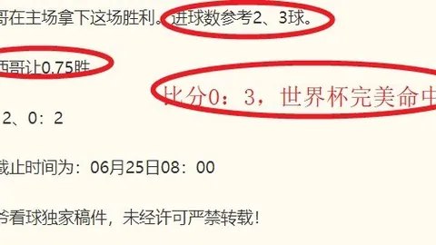 今日战绩分析韦德体育娱乐：稳中求进，明日再战指南